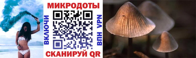 Галлюциногенные грибы ЛСД  Новоульяновск 